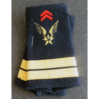 Paire de Fourreau de Lieutenant de l'ALAT