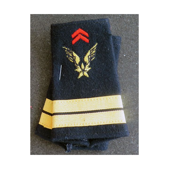 Paire de Fourreau de Lieutenant de l'ALAT