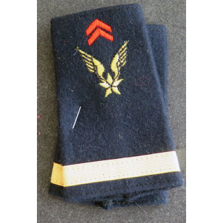 Paire de Fourreau de Sous-Lieutenant de l'ALAT