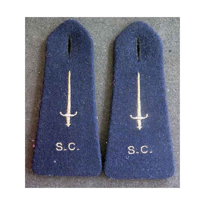 Paire d'épaulettes de scientifique du contingent 