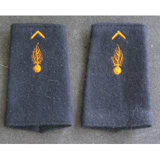 Paire de fourreaux d'épaule de pompier ? ou prytanée militaire de la Flèche ?