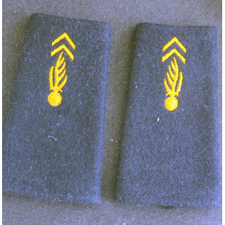 Paire de fourreaux d'épaule de pompier ? ou prytanée militaire de la Flèche ?