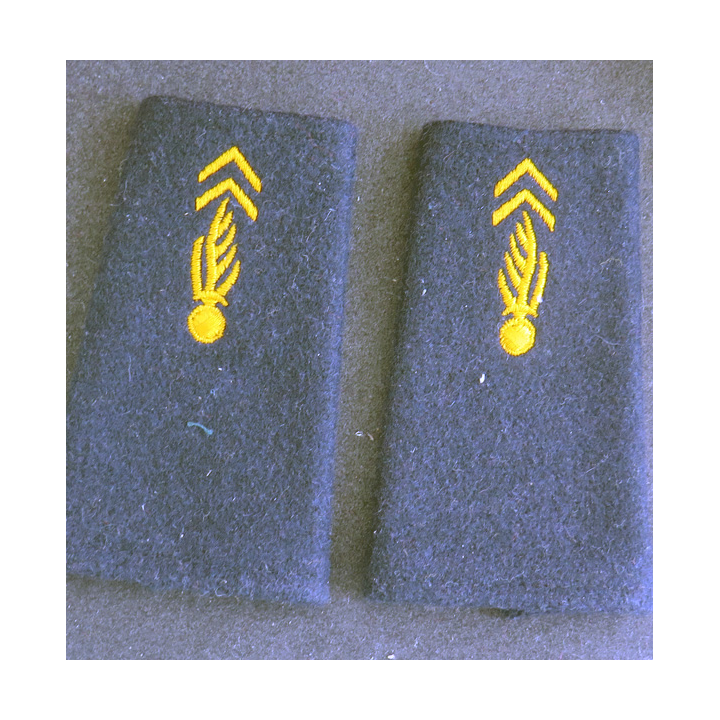 Paire de fourreaux d'épaule de pompier ? ou prytanée militaire de la Flèche ?