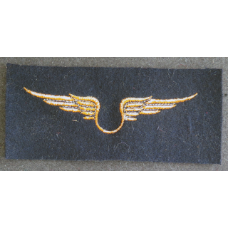Insigne tissu de l'armée de l'air troupe 12 x 5 cm