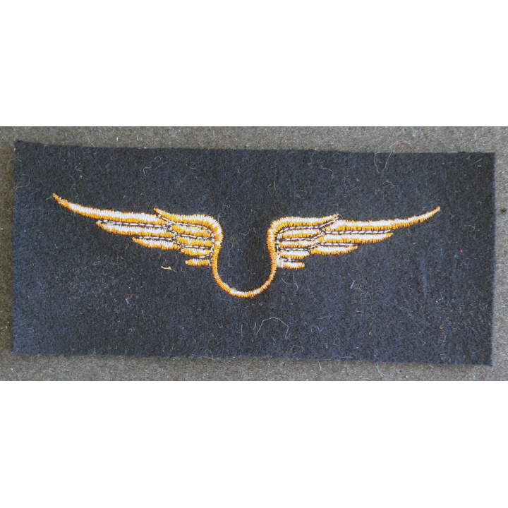 Insigne tissu de l'armée de l'air troupe 12 x 5 cm