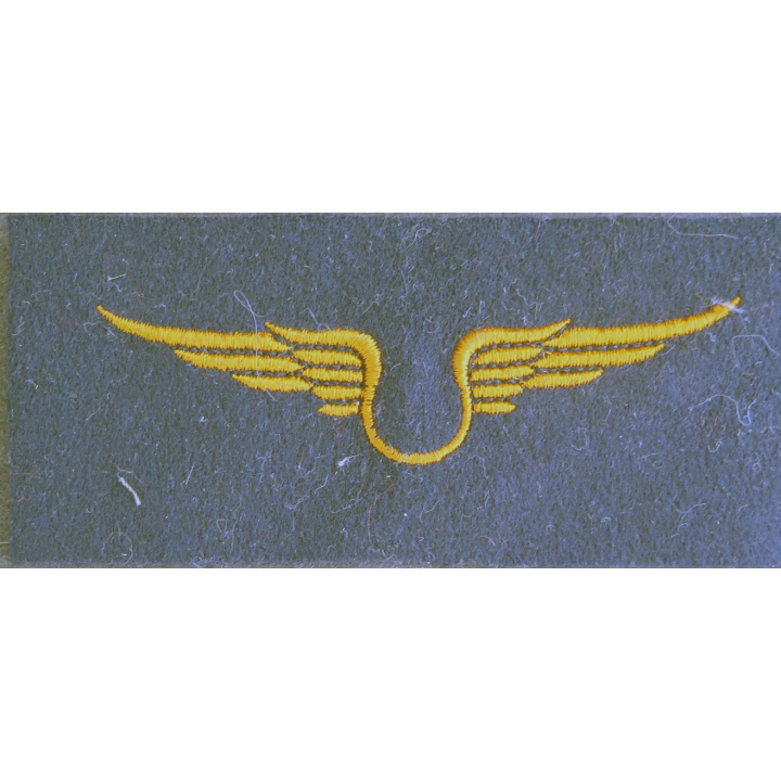 Insigne tissu de l'armée de l'air troupe 12 x 5 cm