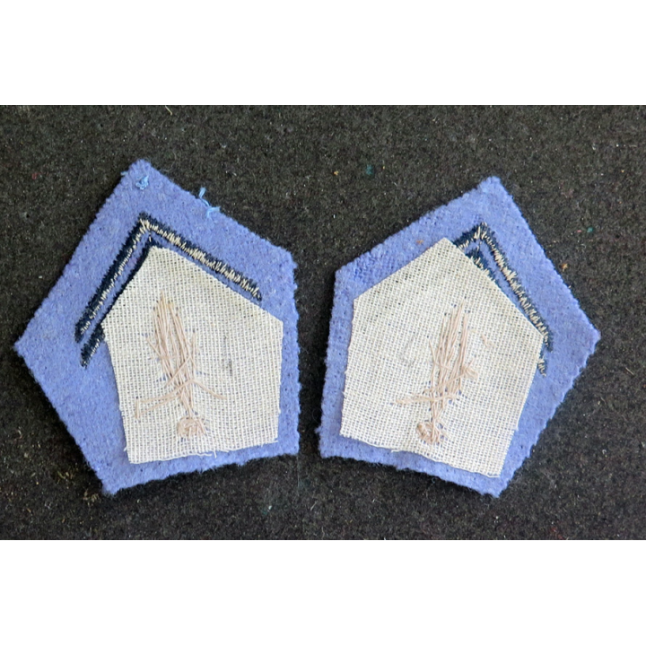 SOUTACHE : paire d'insigne de col de cadre d'école militaire en cannetille