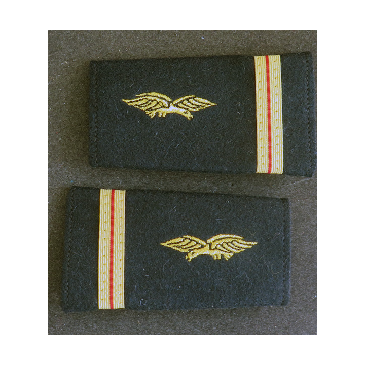 Paire de fourreaux d'épaule d'adjudant chef de l'armée de l'air