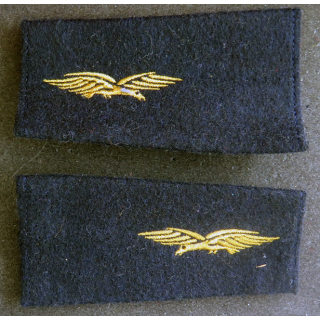 Paire de fourreaux d'épaule d'aviateur de l'armée de l'air
