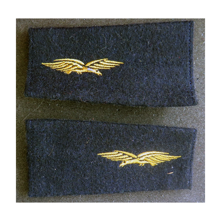Paire de fourreaux d'épaule d'aviateur de l'armée de l'air