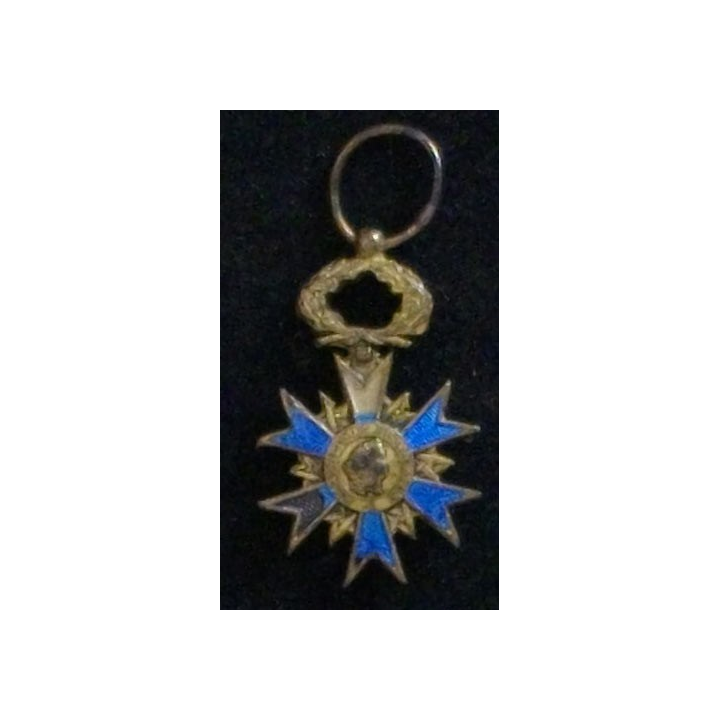 FRANCE : ORDRE NATIONAL DU MÉRITE EN RÉDUCTION GROS ÉCLATS