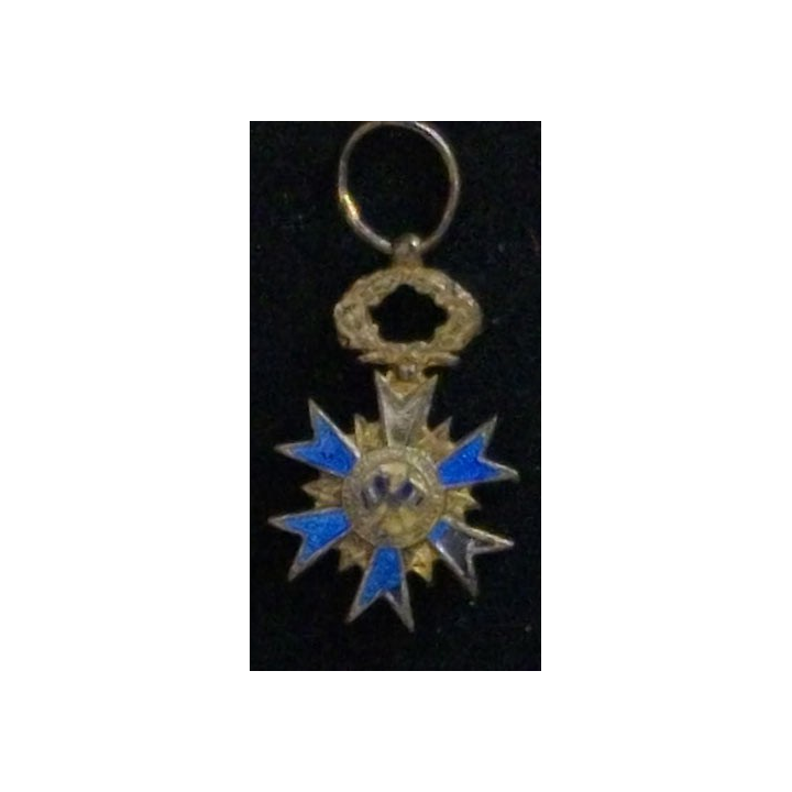 FRANCE : ORDRE NATIONAL DU MÉRITE EN RÉDUCTION GROS ÉCLATS