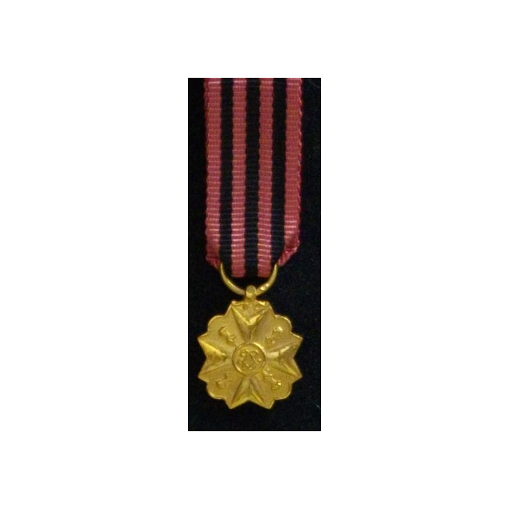 BELGIQUE : MÉDAILLE DE LA DÉCORATION CIVIQUE EN RÉDUCTION