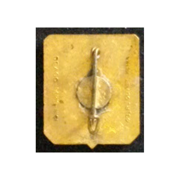 10° RG : 10° RÉGIMENT DU GÉNIE (DRAGO OM) ÉMAIL