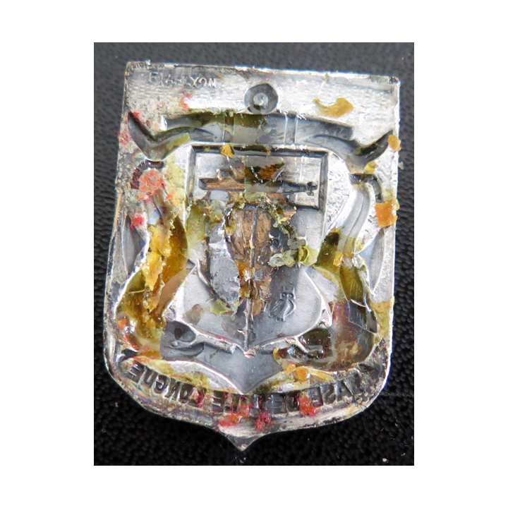 Insigne de la base de l'ile Longue FIA peint