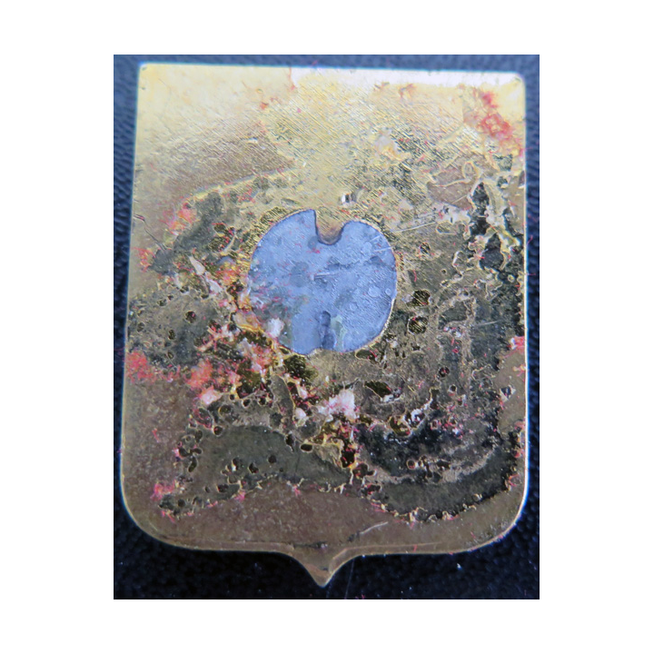 31 F : insigne de la Flottille aéronavale 31 F
