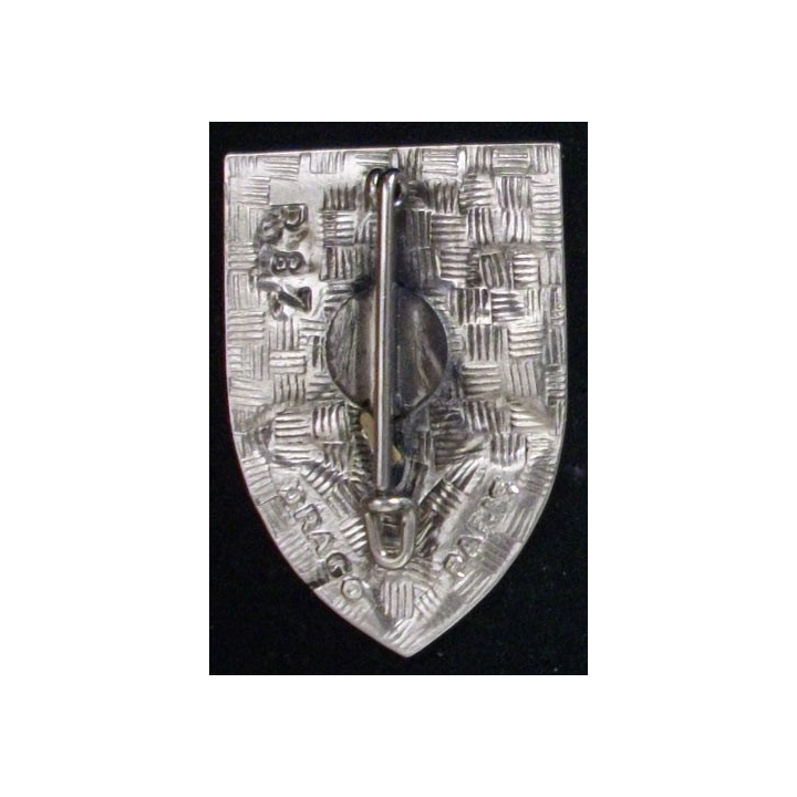 71°BG : 71°BATAILLON DU GÉNIE SAHARIEN (D R87) SANS CUIRASSE