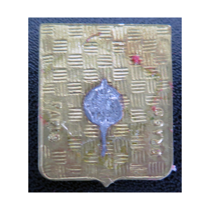 21 F : insigne de la Flottille aéronavale 21 F Drago Paris
