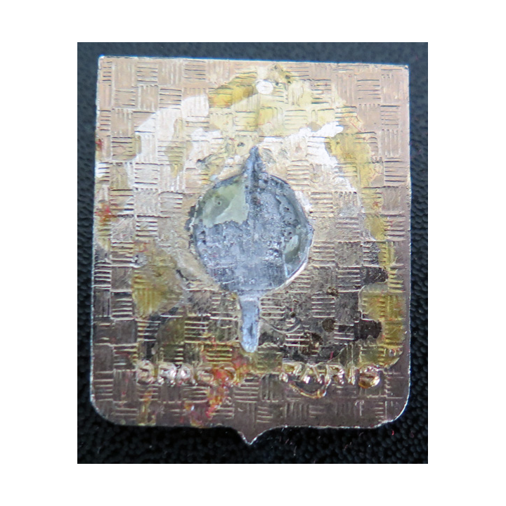 10 F - 24 F : insigne de la Flottille aéronavale 10 F - 24 F en émail