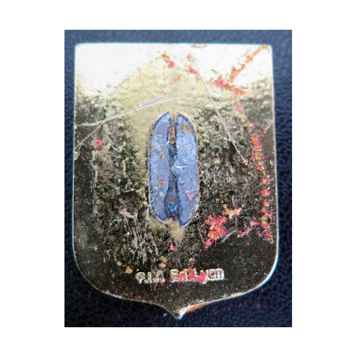 54 S : Insigne de l'escadrille aéronavale 54 S Drago Paris
