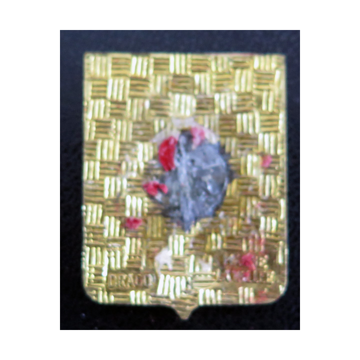 4 F : Insigne de la Flotille aéronavale 4 F Drago Paris