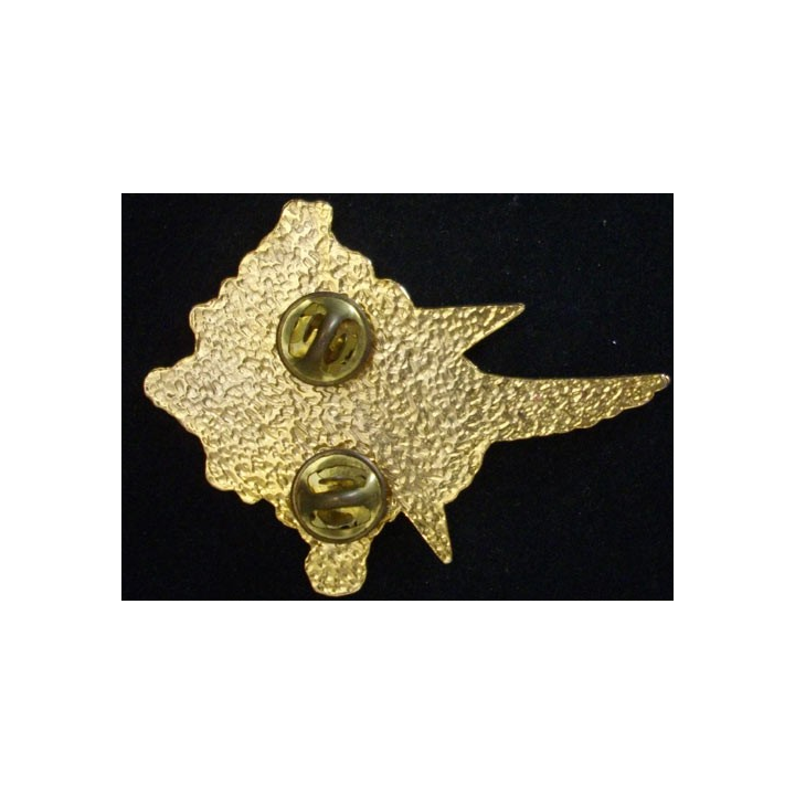 25°RGA : insigne du 25° régiment du génie de l'air au Kosovo en 2000