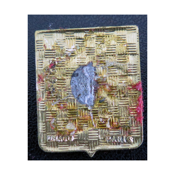 52 S : Insigne de l'escadrille aéronavale 52 S Drago Paris
