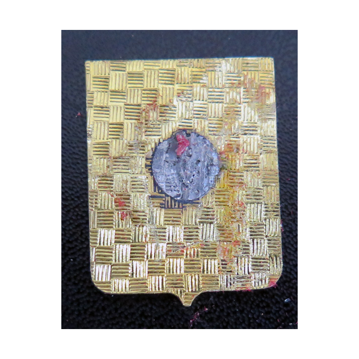 55 S : Insigne de l'escadrille aéronavale 55 S Drago Paris