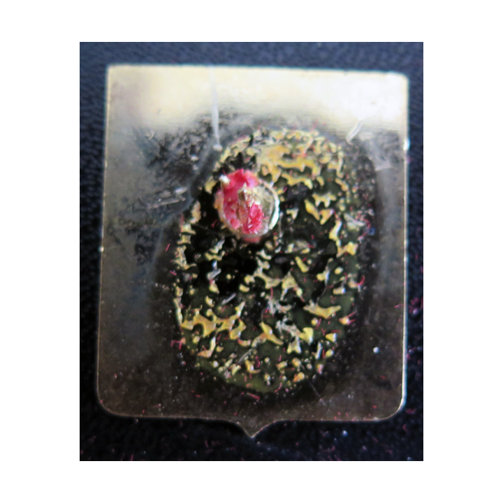 51 S : Pin's de l'escadrille aéronavale 51 S 2,5 x 3 cm