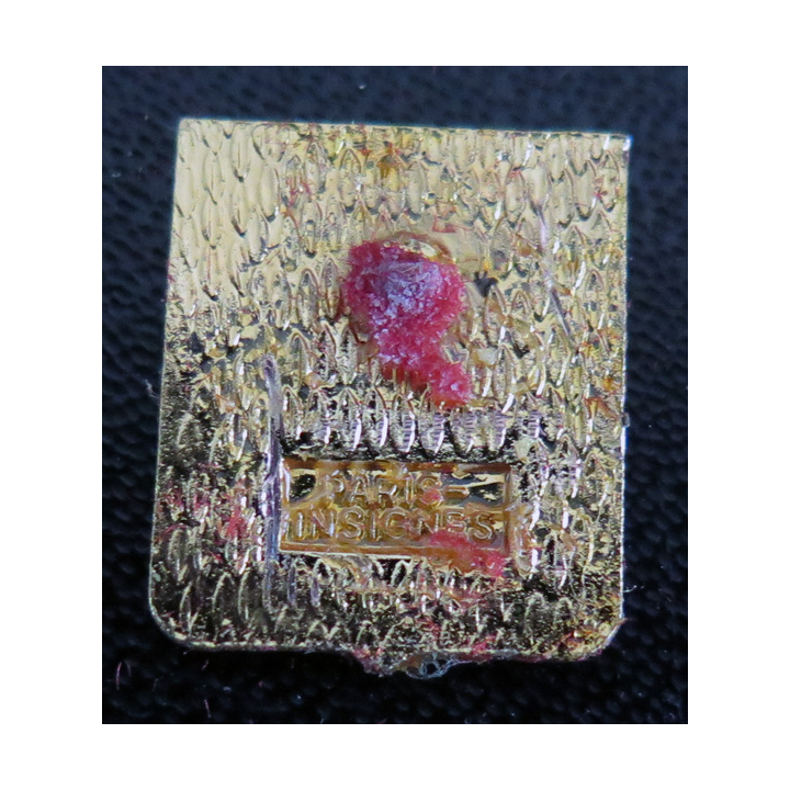 22 S : Pin's de l'Insigne de l'escadrille aéronavale 22 S PARIS INSIGNES
