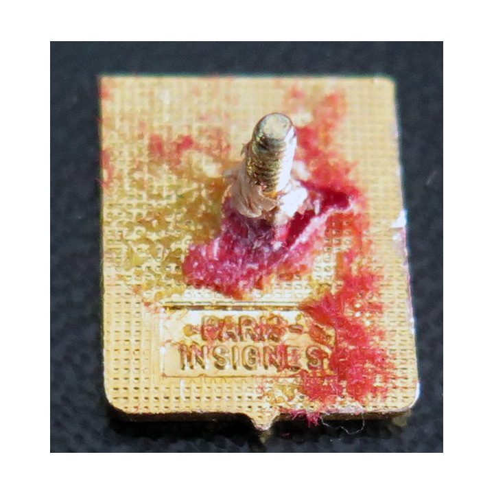 34 F : Pin's de l'insigne de la Flotille aéronavale 34 F Paris Insignes
