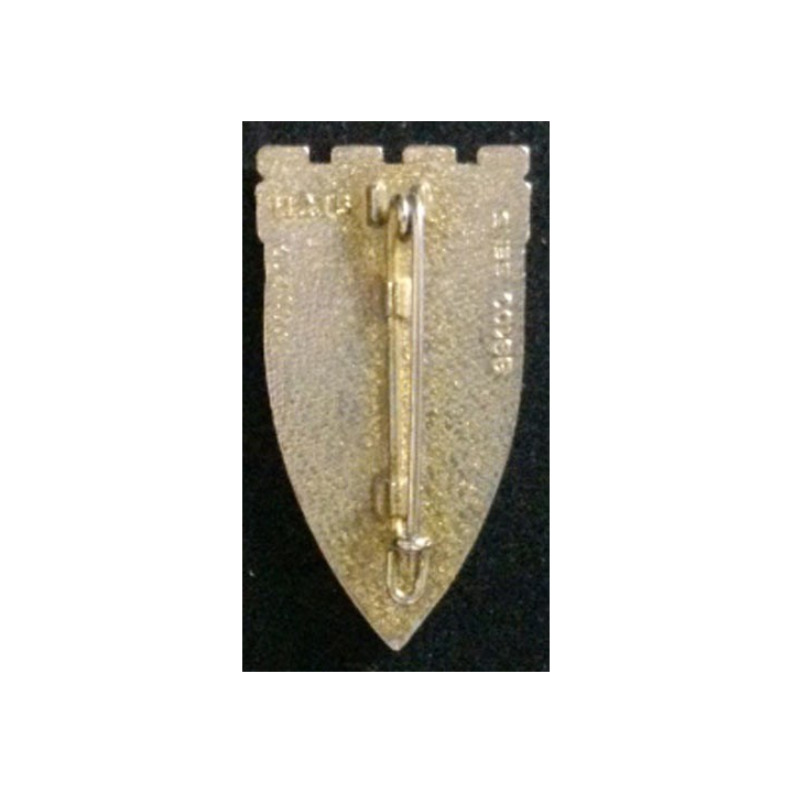 19° RG : 19° RÉGIMENT DU GÉNIE (DELSART 215)