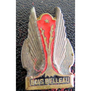 BOIS BELLEAU : insigne de boutonnière du Porte Avions BOIS BELLEAU Drago en émail