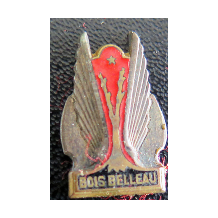 BOIS BELLEAU : insigne de boutonnière du Porte Avions BOIS BELLEAU Drago en émail