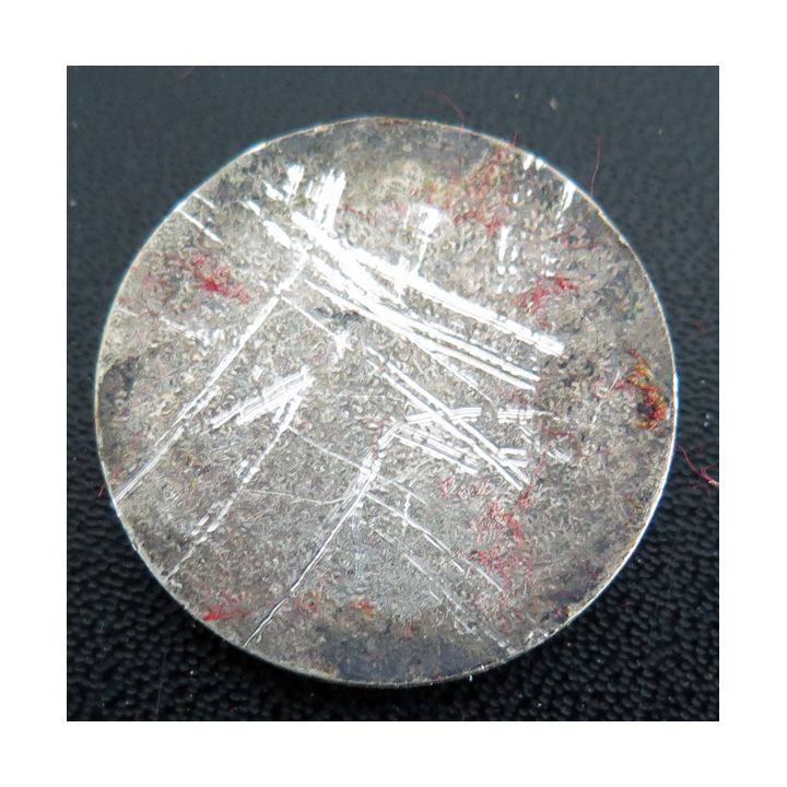 MEDOC : Rondache argentée du Médoc