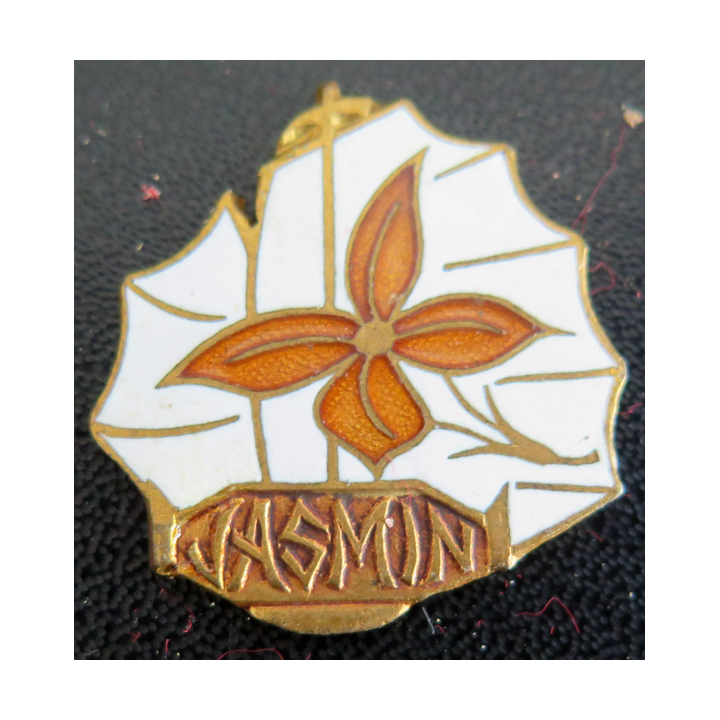JASMIN : insigne du Dragueur ex 335 fleur marron Courtois en émail