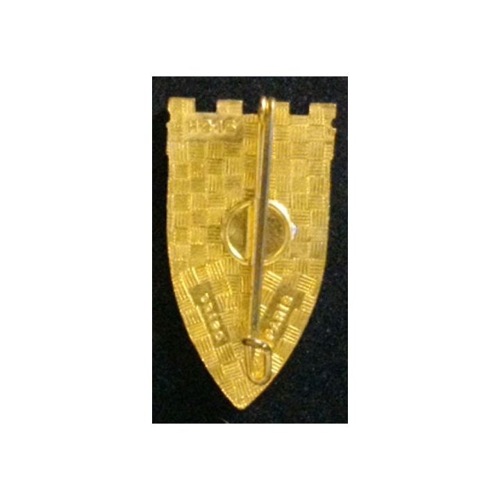 19° RG : 19° RÉGIMENT DU GÉNIE (DRAGO 215) ÉMAIL