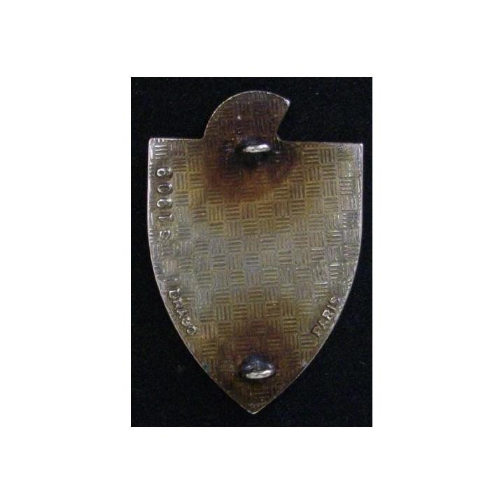 9° RG : 9° RÉGIMENT DU GÉNIE (DRAGO 1909)