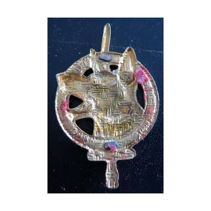 MAITRE CHIEN : insigne du brevet de Maître Chien Drago Paris GS 46