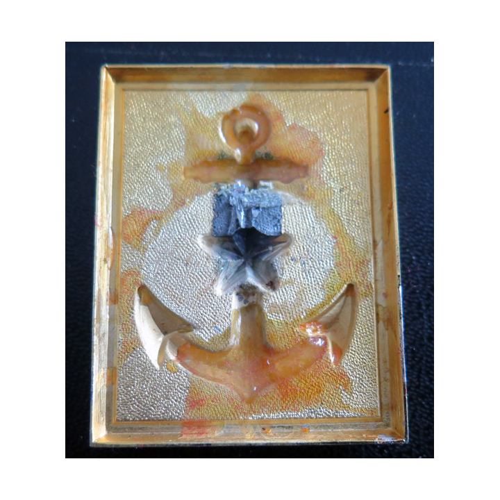 Insigne de personnels chargés de fonctions de responsabilités de la Marine