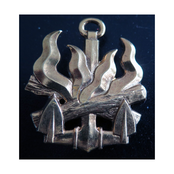 PCDF : insigne de spécialité de personnel civil de direction de foyer 2 attaches pin's