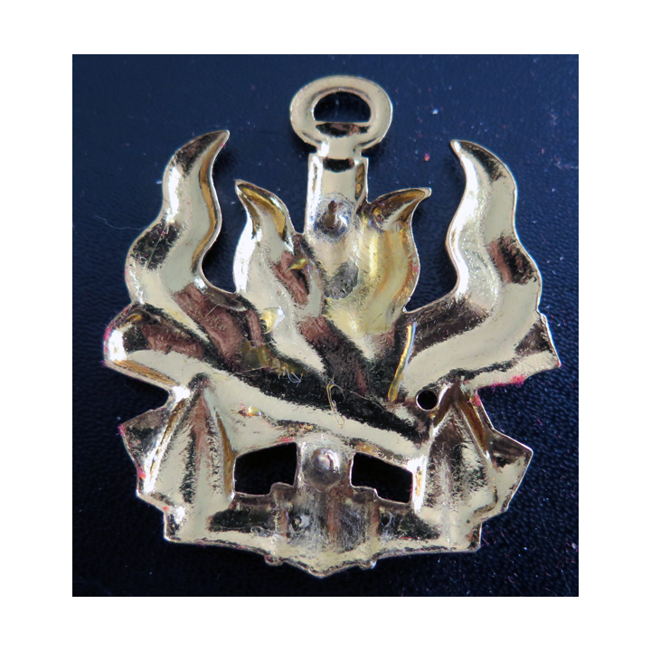 PCDF : insigne de spécialité de personnel civil de direction de foyer 2 attaches pin's