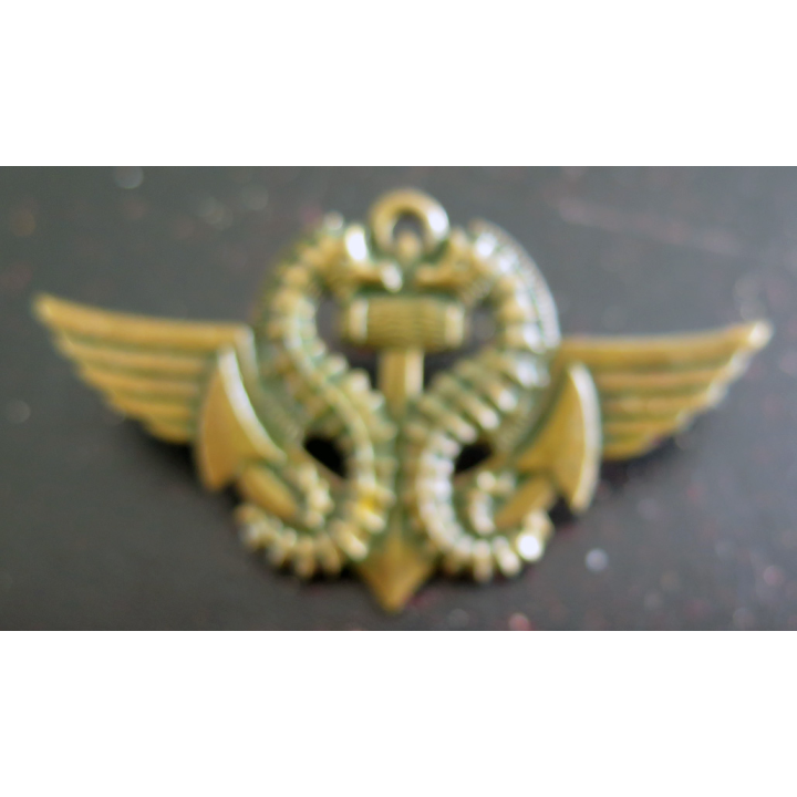 NAGEURS DE COMBAT : insigne de certificat de nageur de combat Drago 2 attaches pin's