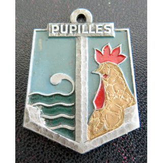 EPM : Insigne de l'école des pupilles de la Marine Drago Béranger en aluminium peint