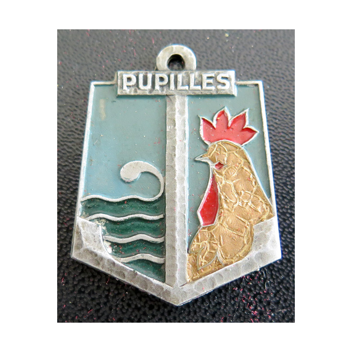 EPM : Insigne de l'école des pupilles de la Marine Drago Béranger en aluminium peint