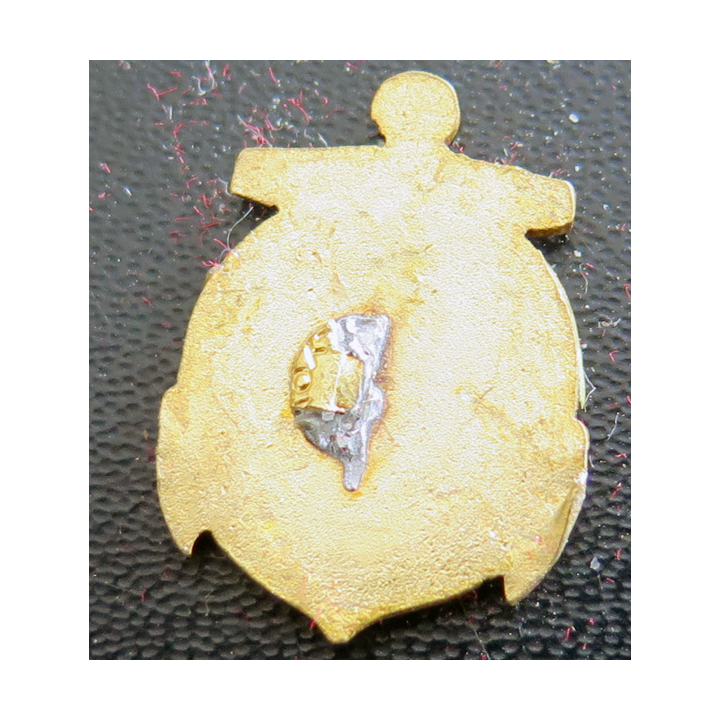 FAIS : boutonnière de la Flotille Amphibie Indochine Sud 2,4 cm de hauteur en émail