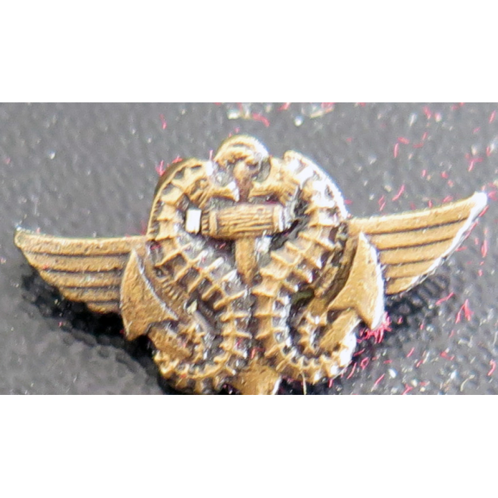 NAGEURS DE COMBAT : boutonnière de certificat de nageur de combat Drago