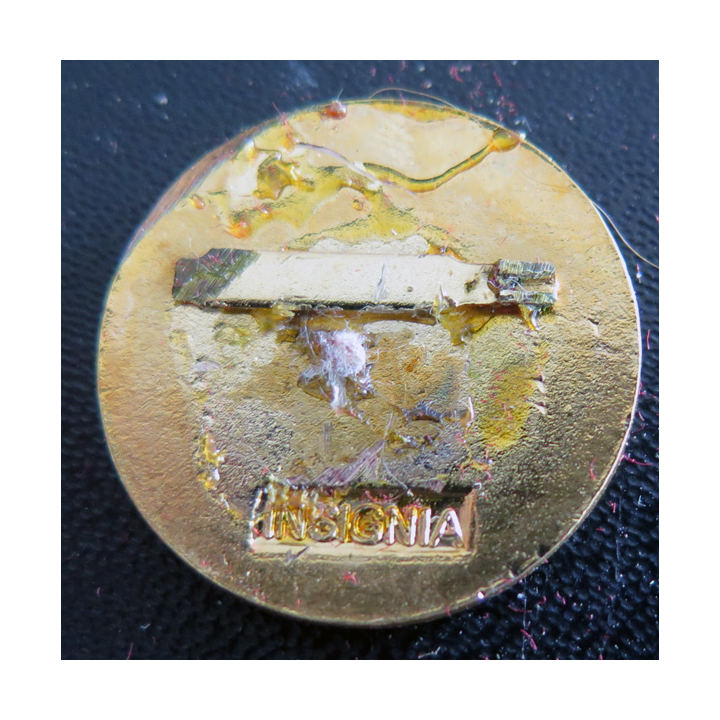 CTM ROSNAY : insigne du centre de transmissions de la marine nationale de Rosnay Insigna