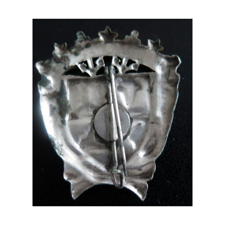 TAAF : insigne des Terres australes et antarctiques françaises poinçon AB en émail