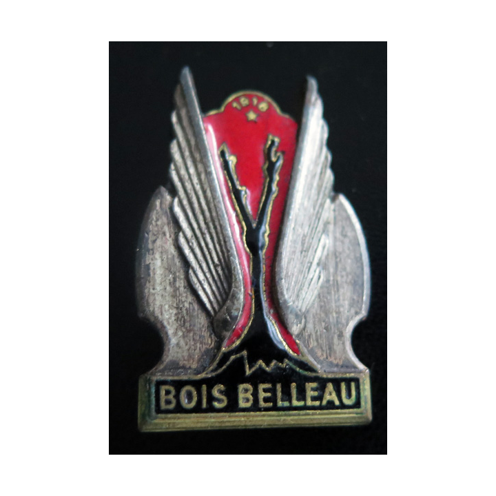 BOIS BELLEAU : insigne du Porte avions Bois Belleau  Drago Romainville en émail